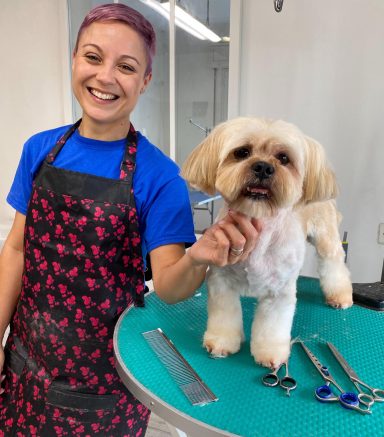 Lhasa Apso